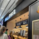 pet01누8126 | 폴란드 바르샤바 공항, LOT 비즈니스 라운지, 바르셀로나 호텔 추천, 시타딘 람블라스