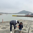 태안바다 이미지