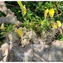 만지작하우스민박 이미지