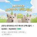 가창로 | 아기 백사자 소식에 아이랑 방문한 대구 네이쳐파크 솔직후기