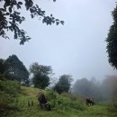 숲속게스트하우스 | 포카라 오캠 식당추천 | 오스트레일리안 캠프 게스트하우스 &amp; 레스토랑