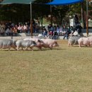 그린지역아동센터 이미지