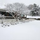 안산 대부동동 카페 카페동리 업체 정보 후기