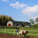 새대한목장 이미지