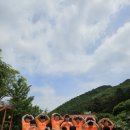 한양대 태권도장 이미지