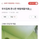 [익웃] 우리집에 존나 큰 애벌레 들어옴;;; 이미지