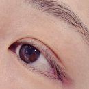신사역 속눈썹펌 잘하는곳 유앤아워 속눈썹펌 시간, 주기, 주의사항