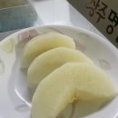 화산농장2 이미지