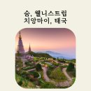 웰니스트립