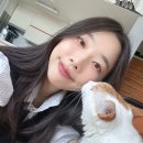 옥계2공단로-40 이미지