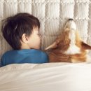 벡스코 동물병원 이미지