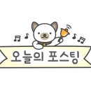 노브랜드버거 충남부여점