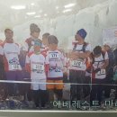 푸른세무회계 이미지