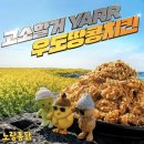 풍성통닭 | 노랑통닭 우도땅콩 치킨 순살 내돈내산 솔직 후기