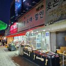 애완용품도매·할인