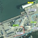 완도에서 배타고 제주도 가기 (차량 선적, 애견 동반, 골드스텔라 후기)