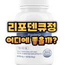 덴큐 | 리포덴큐정 효능 효과 후기 가격 성분