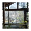 향촌 | [대구 카페] 벚꽃뷰 막차 요이땅! 매력적인 적산가옥 &#34;카페 향촌&#34; 솔직후기