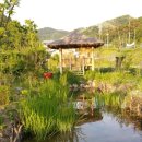 보배한약방