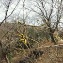 팔용산 체육공원 이미지