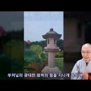 [칠석기도발원문] 진실로 사랑하게 하소서 - 동명스님의 칠석기도발원문 이미지