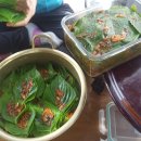 진희농장 이미지