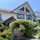 황금명태본가 | 🐟 [청도 맛집] 입맛 살리는 밥도둑, '황금명태본가' 방문 후기! 🌶️