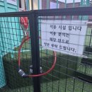 블클레르 이미지