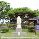 명륜로 Daum카페