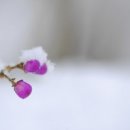 평화로(1) 이미지