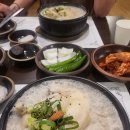 [춘천 맛집] 견과류의 고소함이 가득한 '할매삼계탕' &amp; 우두동 신상 카페 '그라시아 커피로스터스' 내돈...