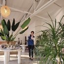 하북면 통도9길 | 양산 통도사 근처 카페 커피휘게 갤러리 구경도 가능해