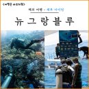 그랑블루 | 세부 다이빙 리조트 뉴그랑블루 샵 펀다이빙 스쿠버 후기