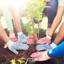 하늘빛어린이집[아이행복] 이미지