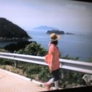 동방D·C