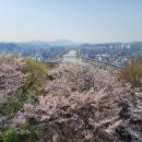 강남정공원 네이버블로그