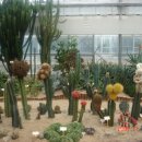 밀양시농업기술센터 이미지