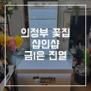 금샵 이미지