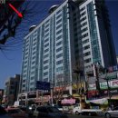 삼라마이다스 이미지