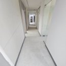 한국유도원 이미지