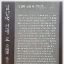 김양택 선생묘 이미지