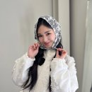 레지나 레이 카카오 검색결과