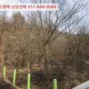 지방도905호선1 이미지