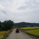 경북오토바이 - 포항시 북구 새마을로 15 | 경북오토바이