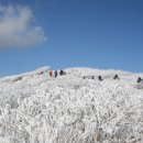 설산약국 이미지