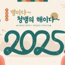 12 이미지