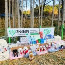 즐거운루다유치원 | 반려동물 인플루언서 연말 정모 가낳네키와 함께