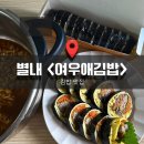 별빛마을 | [경기] 어렸을 적 소풍 갔을 때 먹었던 김밥 맛, ‘여우애김밥’ 별내별빛마을점 내돈내산 추천후기