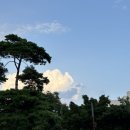 강동로1-21 이미지