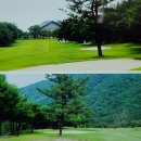 가야 CC(대중) 네이버블로그